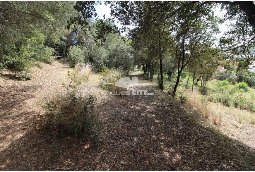 Terreno en Arenys de Munt, Barcelona en venta - Foto del edificio - Imagen 3 de 39