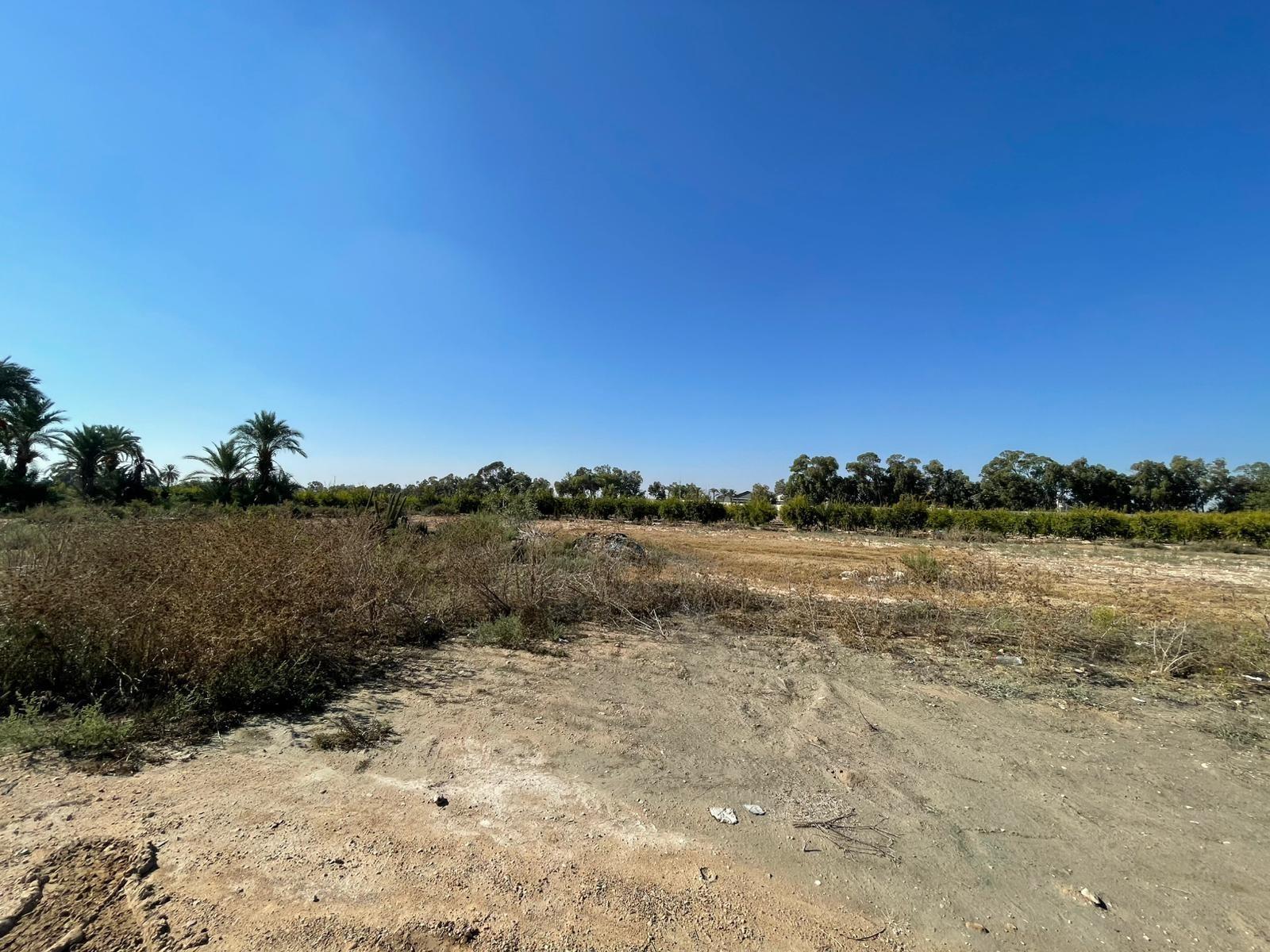 Terreno en Crevillent, Alicante en venta Foto principal- Imagen 1 de 6