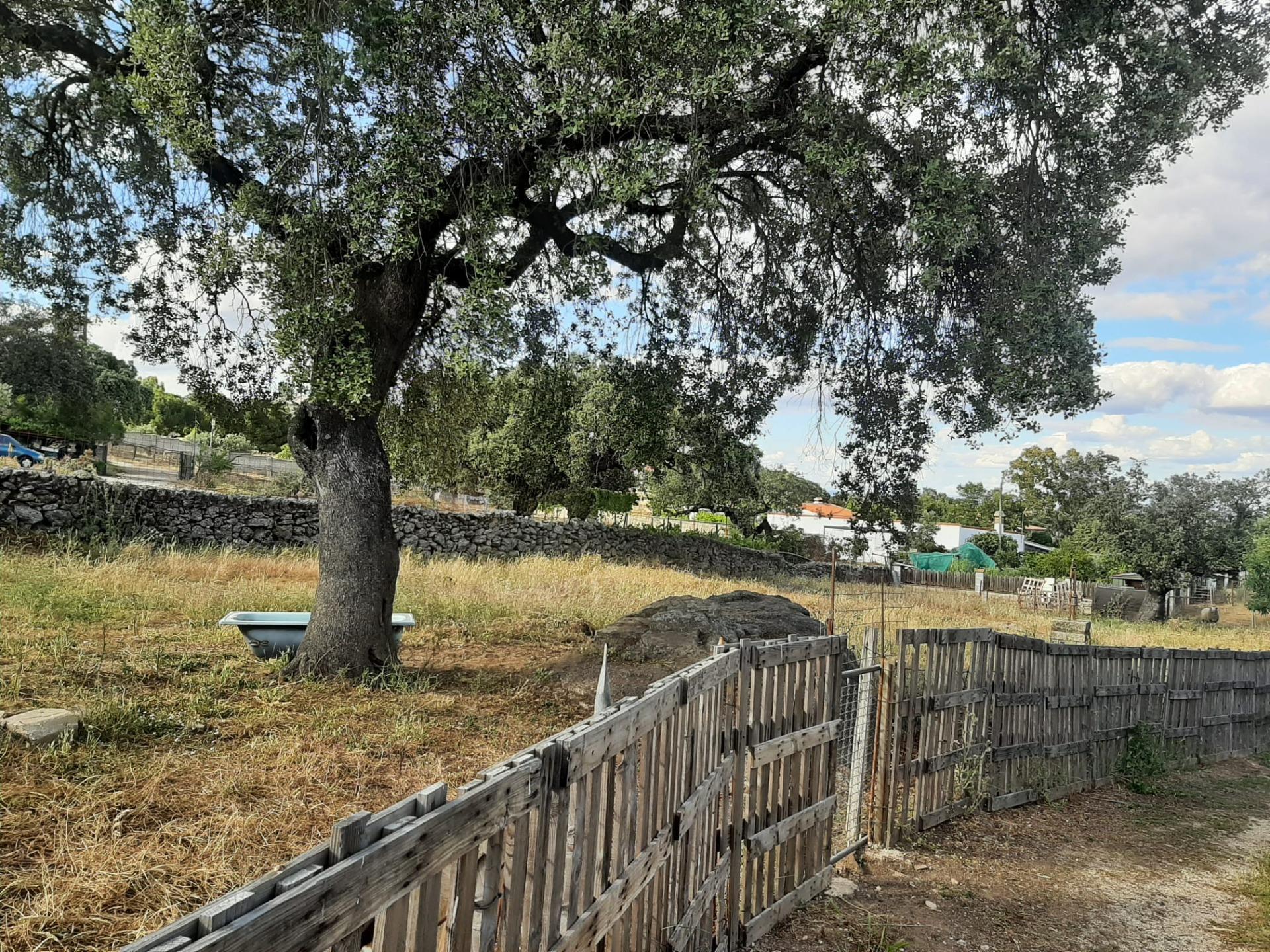 Terreno en Casar de Cáceres, Cáceres en venta Foto principal- Imagen 1 de 7