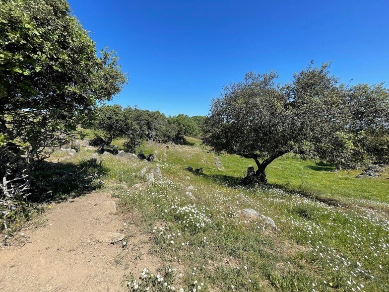 Terreno en Garrovillas de Alconétar, Cáceres en venta - Foto principal - Imagen 3 de 17
