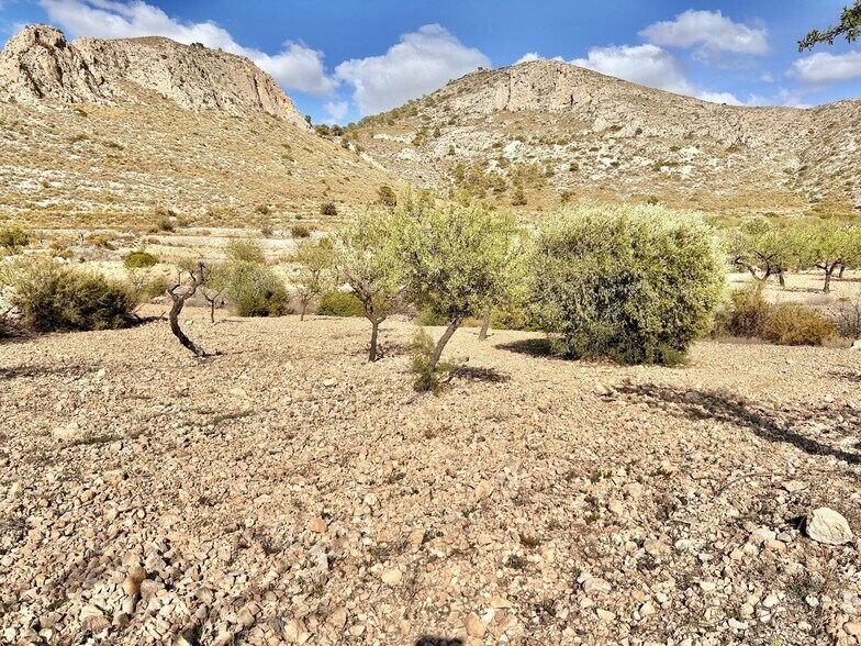 Terreno en Orihuela, Alicante en venta - Vista aérea - Imagen 1 de 4