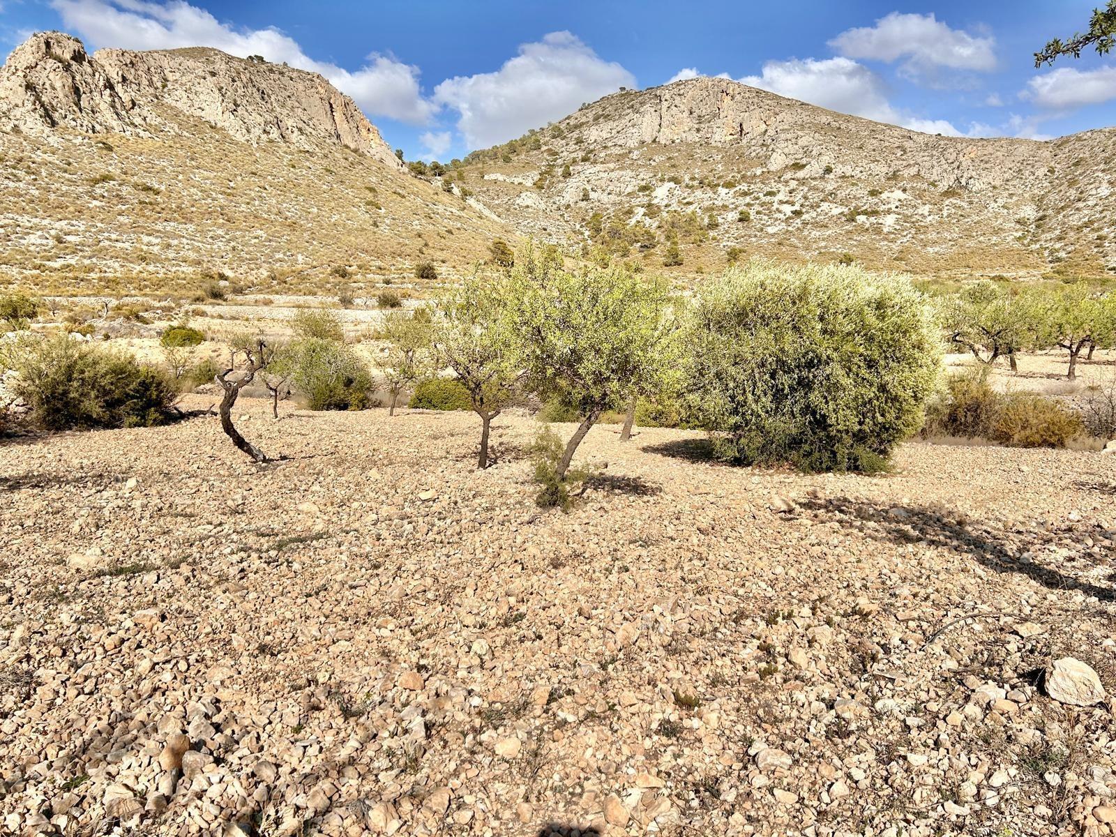 Terreno en Orihuela, Alicante en venta Vista aérea- Imagen 1 de 5