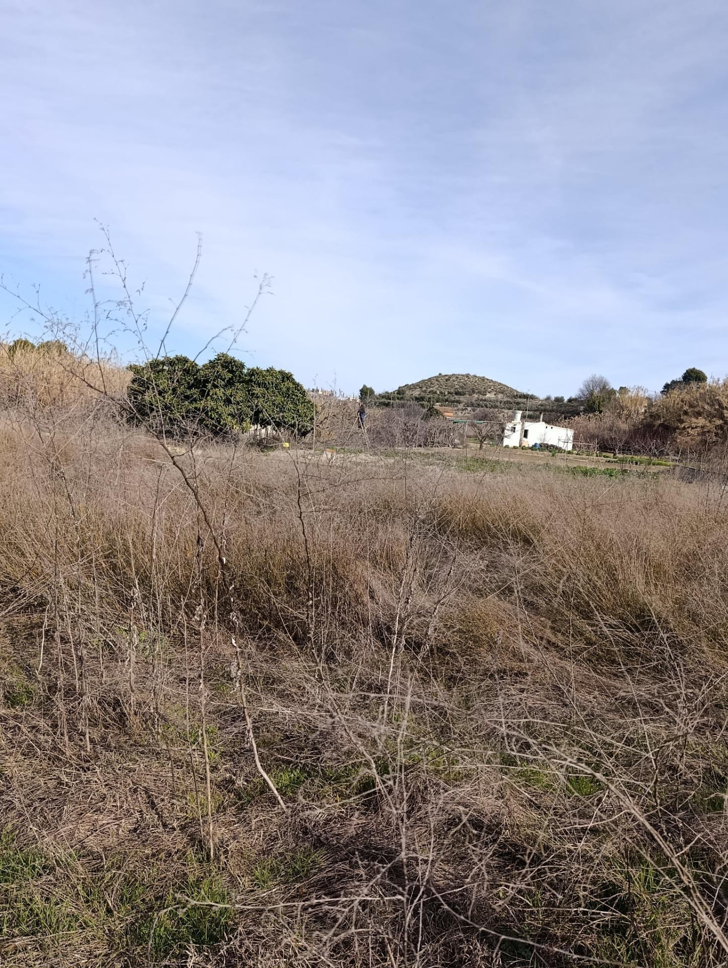 Terreno en Cehegín, Murcia en venta Foto del edificio- Imagen 1 de 9