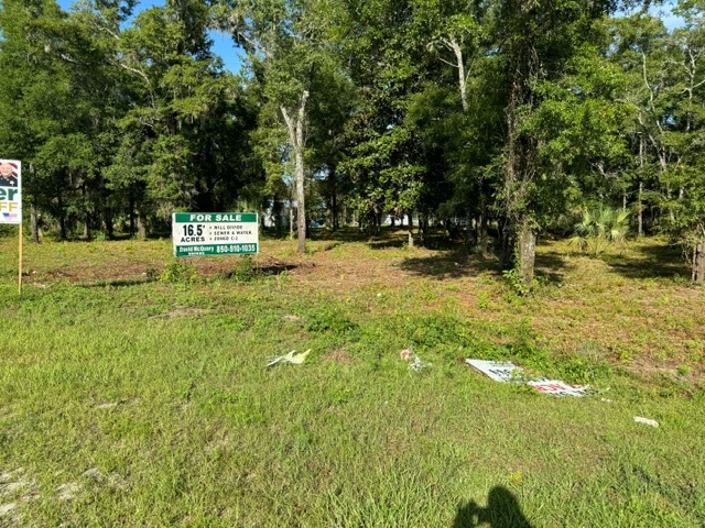 605 Floyd Gray Rd, Crawfordville, FL en venta - Foto principal - Imagen 2 de 7