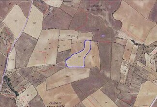 Más detalles de Camino de Navalcarnero, Casarrubios del Monte - Terreno en venta