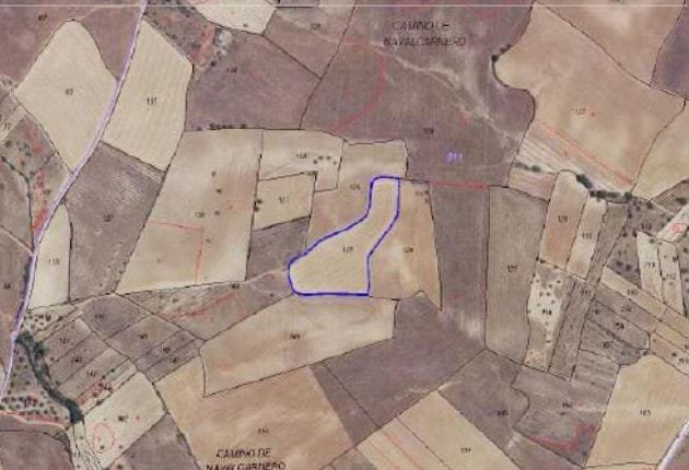 Más detalles para Camino de Navalcarnero, Casarrubios del Monte - Terreno en venta
