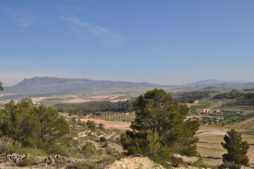 Terreno en Jumilla, Murcia en venta - Vista aérea - Imagen 3 de 9