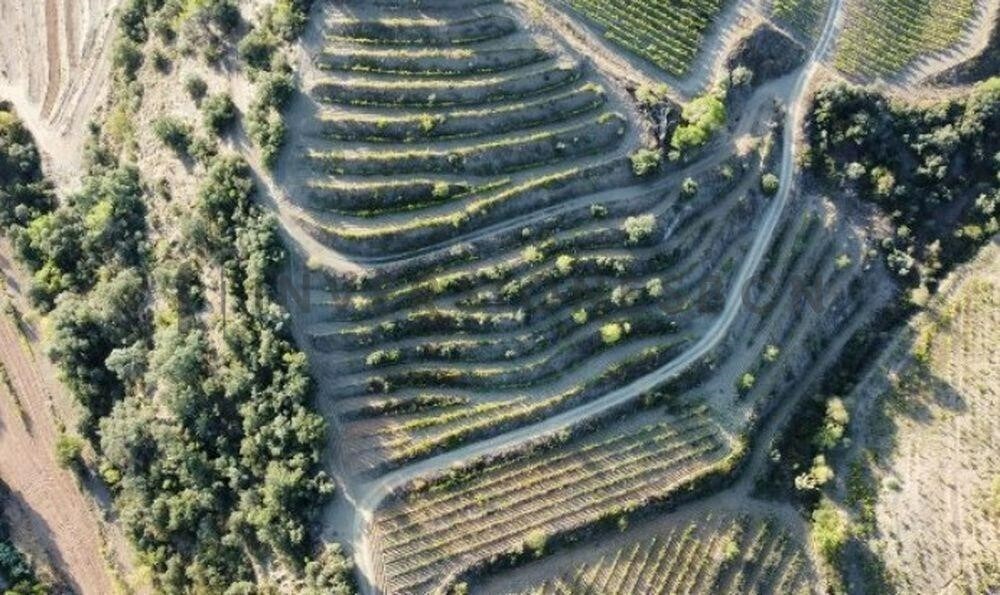 Terreno en Poboleda, Tarragona en venta Otros- Imagen 1 de 1