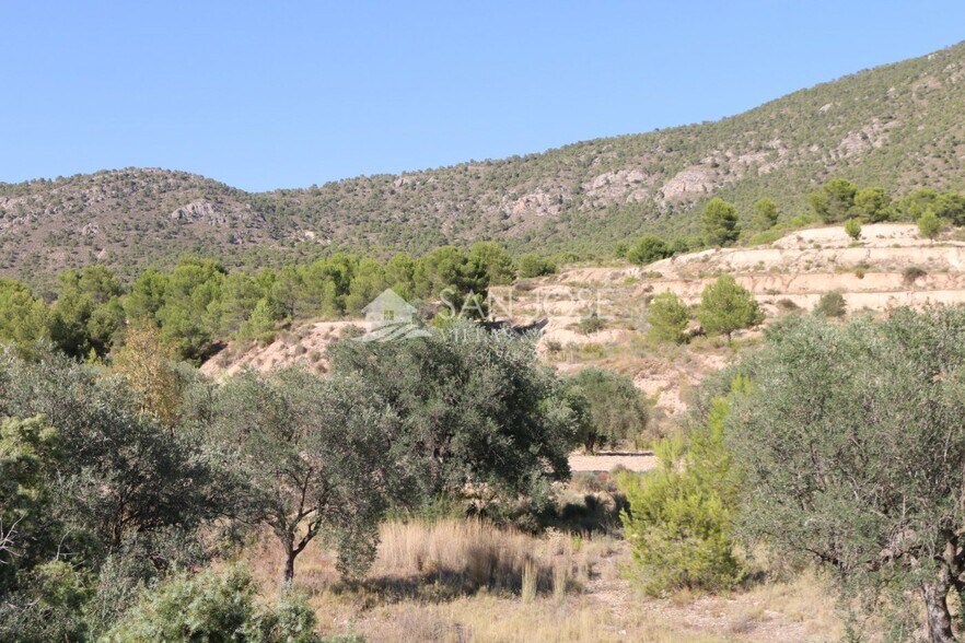 Terreno en MONÒVER, Alicante en venta - Foto principal - Imagen 3 de 23