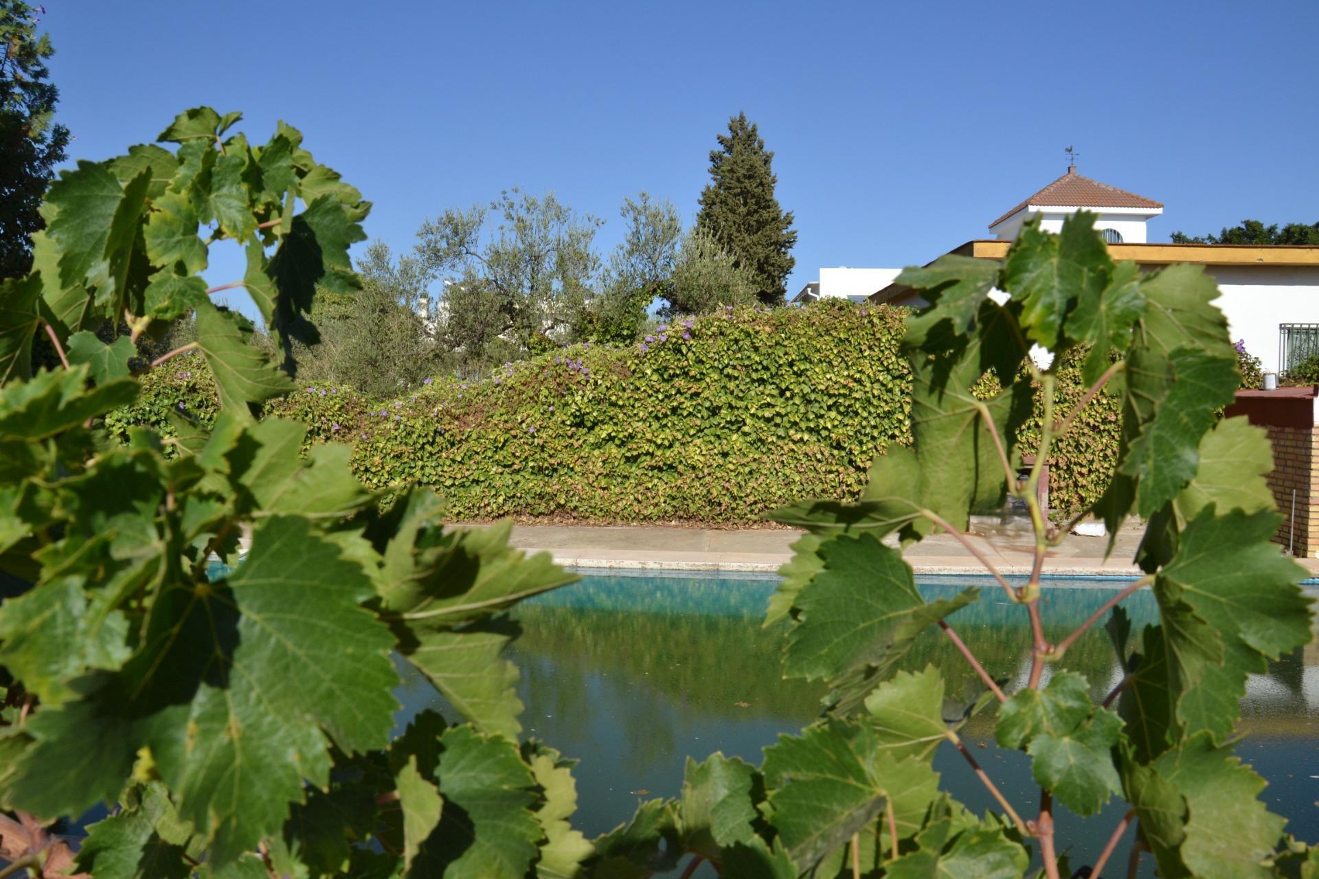 Terreno en Espartinas, Sevilla en venta Foto principal- Imagen 1 de 27