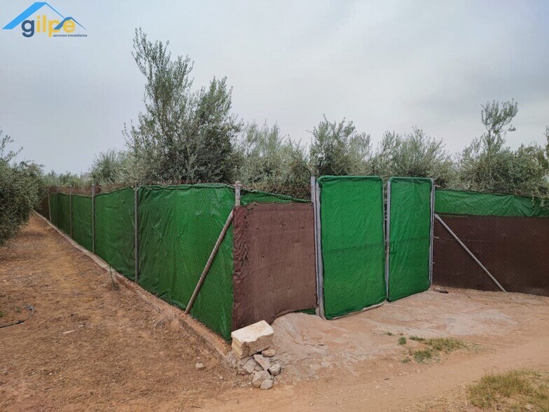 Terreno en Arahal en venta - Foto del edificio - Imagen 2 de 6