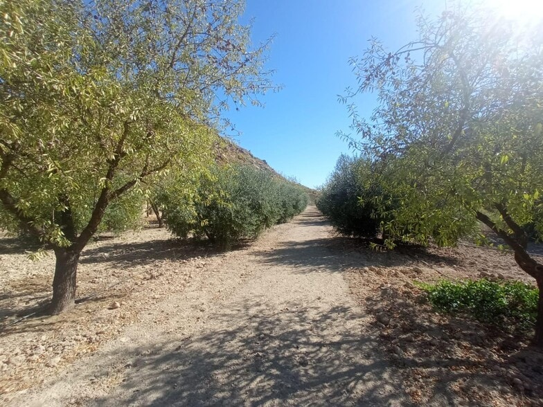 Terreno en Lorca, Murcia en venta - Foto del edificio - Imagen 2 de 41