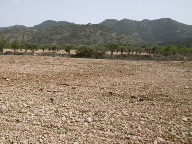 Terreno en Yecla, Murcia en venta - Plano del sitio - Imagen 2 de 3
