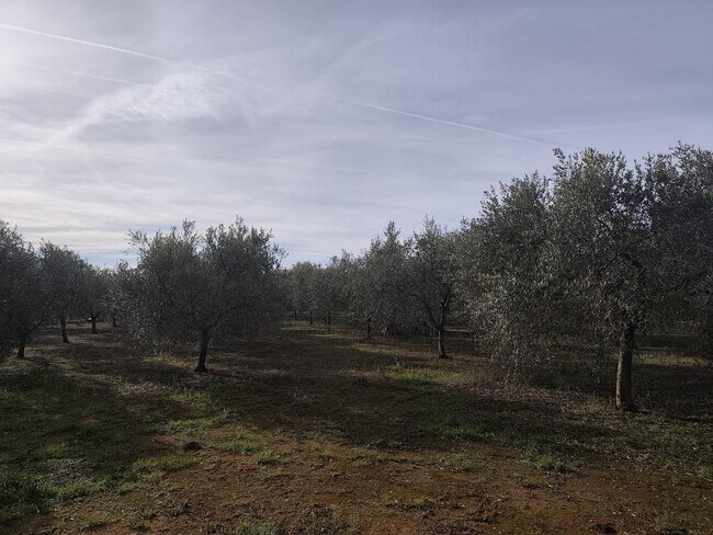 Más detalles de Terreno en venta