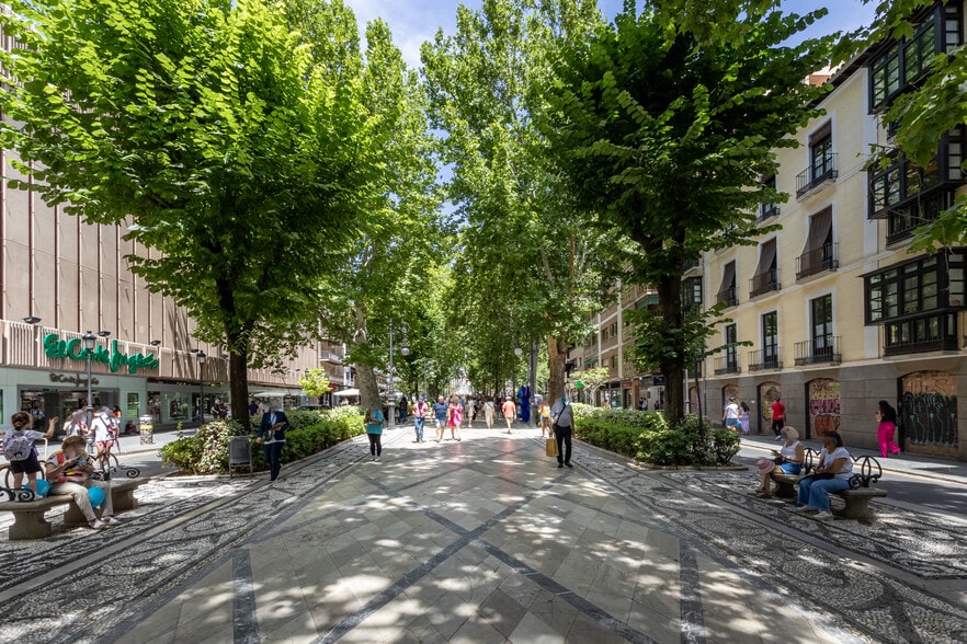 Calle Mirasol, 18, Granada, Granada en venta - Foto principal - Imagen 1 de 37