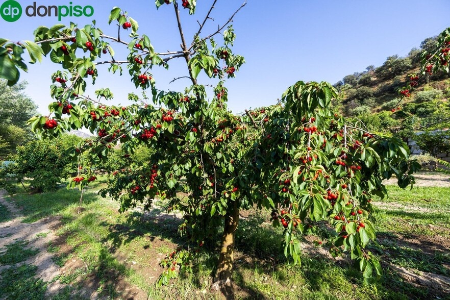 Paseo la Duquesa, S/N, Pinos Genil, Granada en venta - Foto principal - Imagen 1 de 41