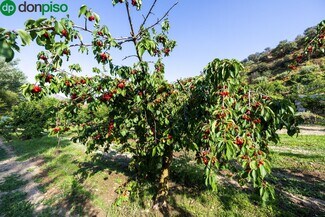 Más detalles de Paseo la Duquesa, S/N, Pinos Genil - Terreno en venta