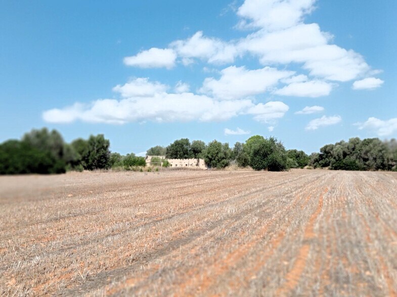 Terreno en Campos, Islas Baleares en venta - Vista aérea - Imagen 3 de 15