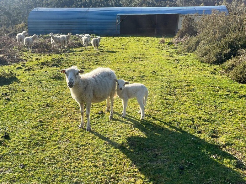 Acevedo, Oia, Pontevedra en venta - Foto del edificio - Imagen 2 de 42