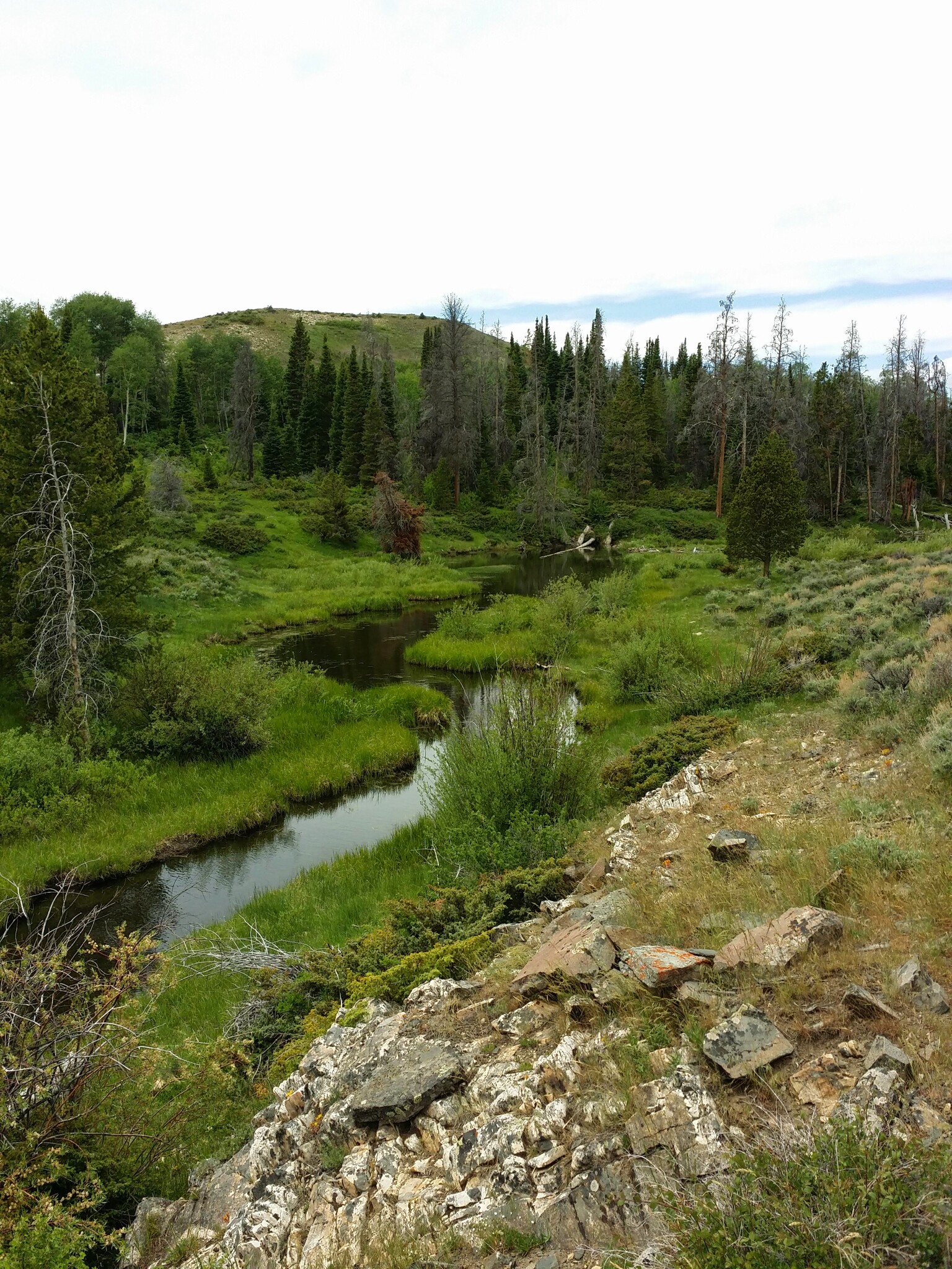 Jack Creek Road, Saratoga, WY en venta Foto principal- Imagen 1 de 14