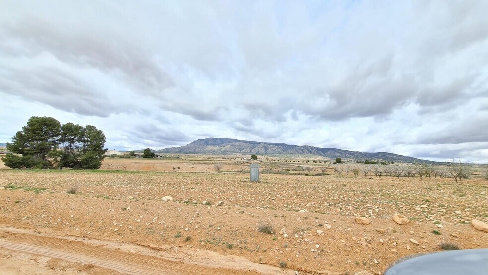 Terreno en Jumilla en venta - Foto del edificio - Imagen 2 de 9