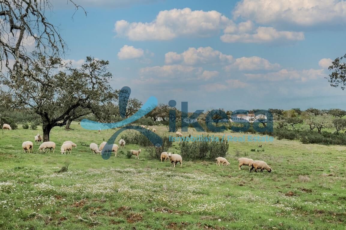 Terreno en Puebla de Guzmán, Huelva en venta Foto del edificio- Imagen 1 de 25