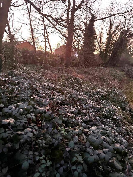 20 Wyatt Rd, Windsor en venta - Foto del edificio - Imagen 3 de 4