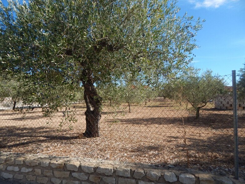 Terreno en Ontinyent en venta - Foto del edificio - Imagen 2 de 5