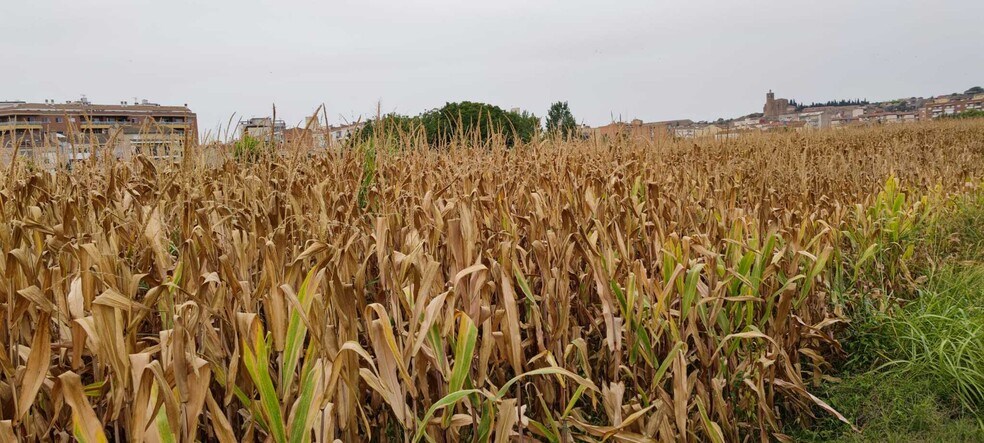 Camarasa-Sau, 4, Balaguer, Lérida en venta - Foto del edificio - Imagen 3 de 8