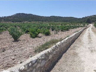Más detalles de Paraje Sopaire y Cañada de la Leña, 3, Abanilla - Terreno en alquiler