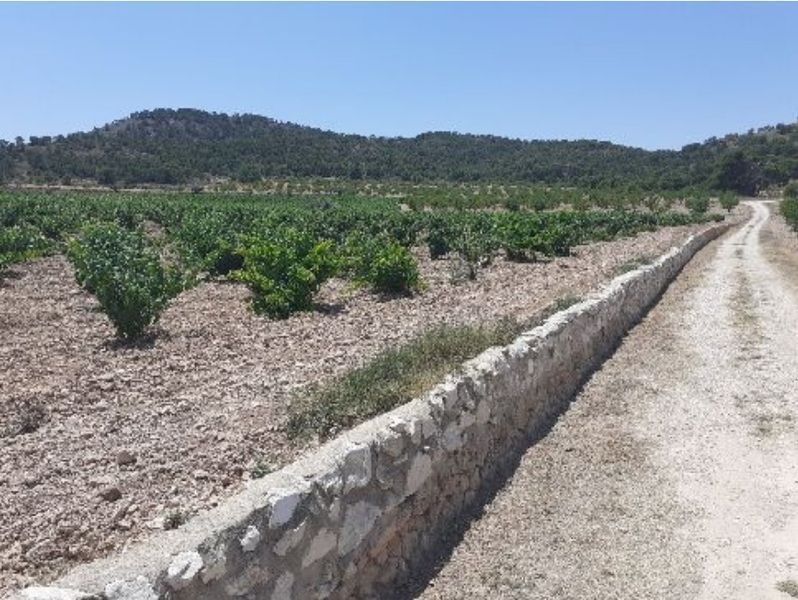Paraje Sopaire y Cañada de la Leña, 3, Abanilla, Murcia en alquiler Foto principal- Imagen 1 de 15