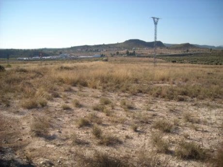 Nave en Calasparra en venta - Plano del sitio - Imagen 2 de 7