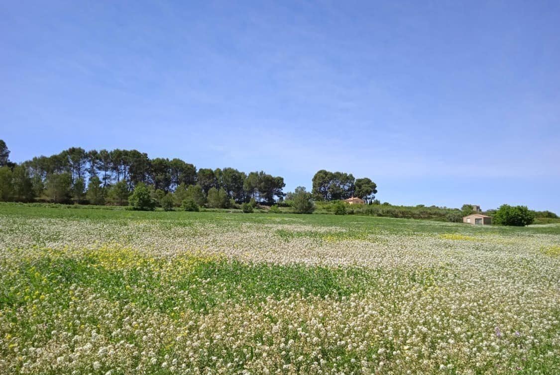 Terreno en Agullent, Valencia en venta Vista aérea- Imagen 1 de 9