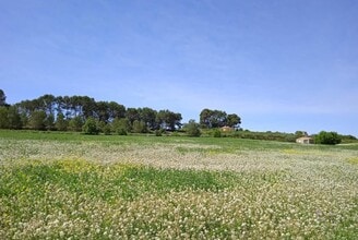 Ip, 09, Agullent, VAL - Aérea  vista de mapa - Image1