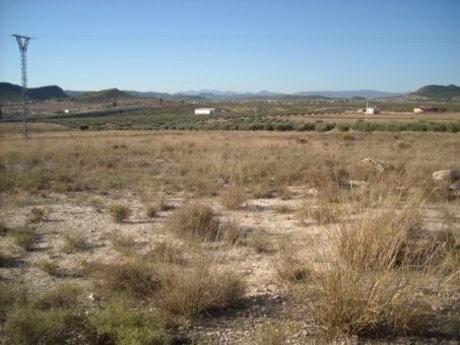 Nave en Calasparra en venta - Plano del sitio - Imagen 1 de 7