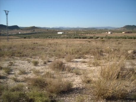 Nave en Calasparra en venta Plano del sitio- Imagen 1 de 8