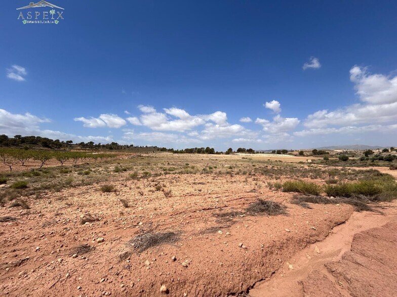 Terreno en Jumilla, Murcia en venta - Vista aérea - Imagen 3 de 5
