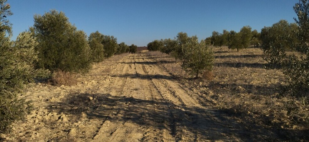 Terreno en Calasparra, Murcia en venta - Plano del sitio - Imagen 2 de 15