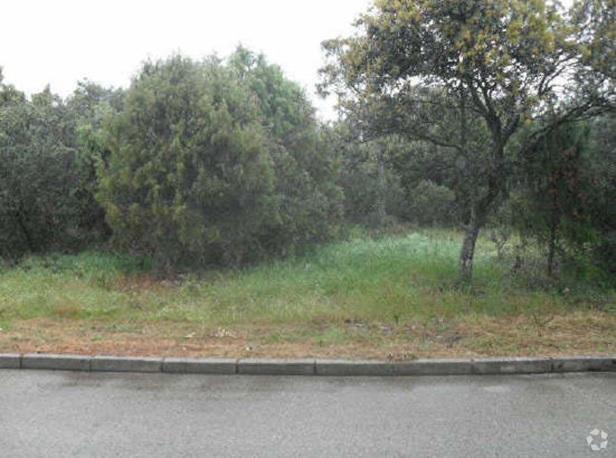 Calle Mar Alborán, 100, San Román de los Montes, Toledo en venta - Foto principal - Imagen 1 de 3