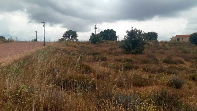 Más detalles de Calle del Maestro Malmierca, Dell, Carrascal de Barregas - Terreno en alquiler