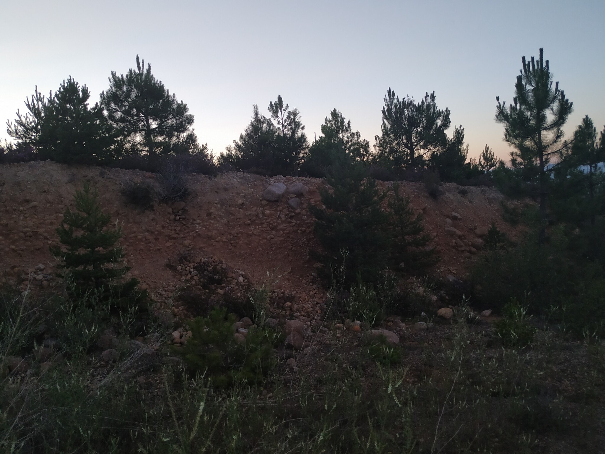 Calle Los Pinos, Sojuela, La Rioja en venta Otros- Imagen 1 de 3