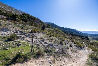 Más detalles de Camino de los Homillos, Alfacar - Terreno en venta