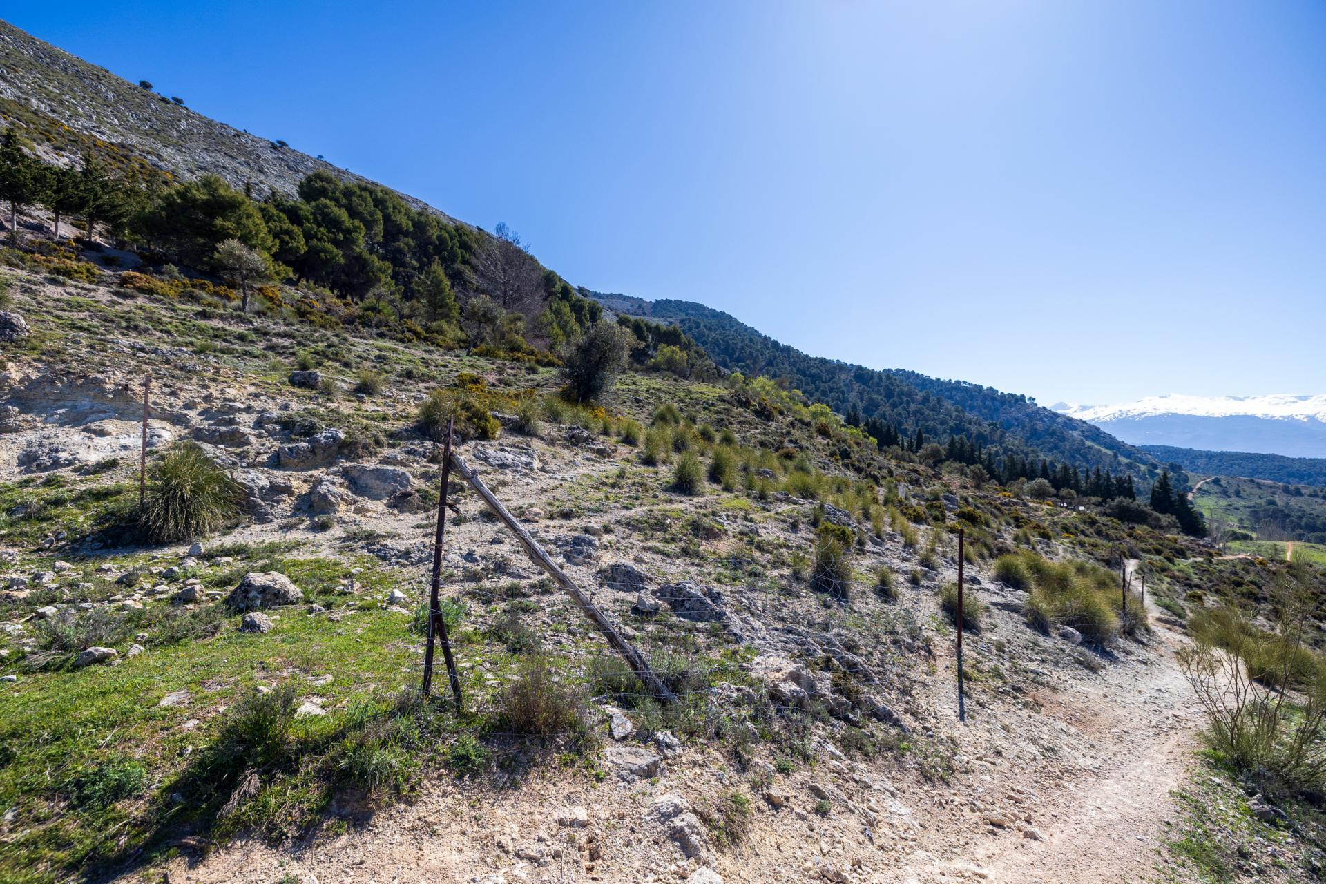 Camino de los Homillos, Alfacar, Granada en venta Foto principal- Imagen 1 de 33