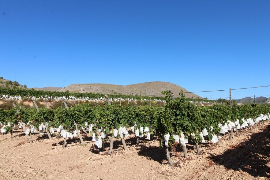 Terreno en La Romana, Alicante en venta - Vista aérea - Imagen 2 de 7