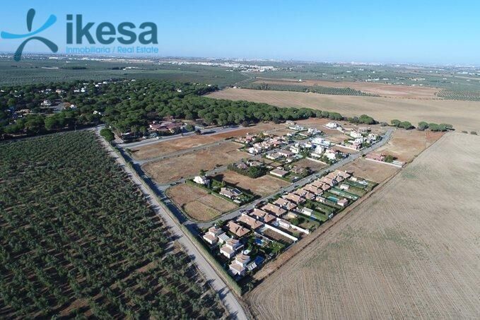 Terreno en Bollullos de la Mitación, Sevilla en venta - Foto del edificio - Imagen 2 de 10