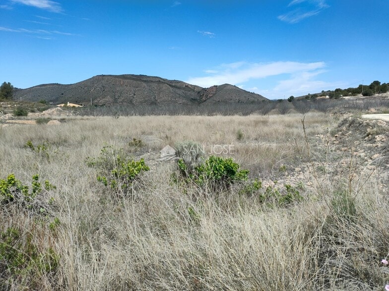 Terreno en HONDÓN DE LAS NIEVES en venta - Vista aérea - Imagen 3 de 4