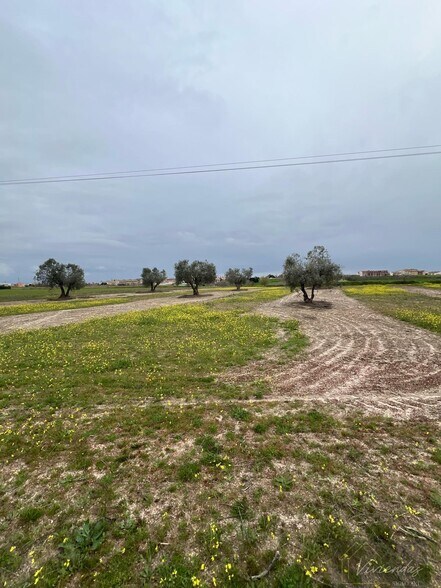 Terreno en El Viso de San Juan, Toledo en venta - Otros - Imagen 3 de 5