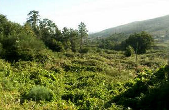 Terreno en Pontevedra, Pontevedra en venta Foto del edificio- Imagen 1 de 2