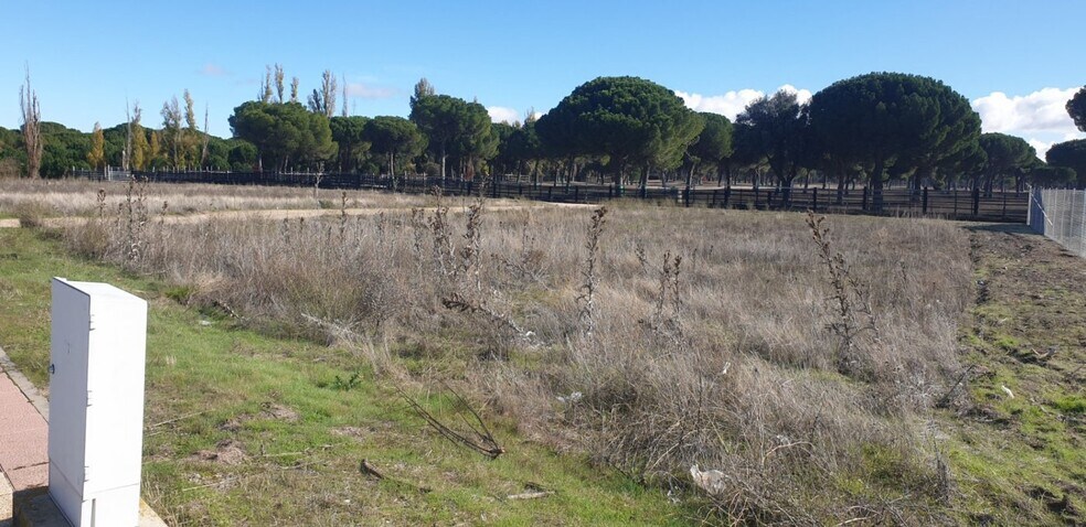 Terreno en Aldeamayor de San Martín, Valladolid en venta - Foto principal - Imagen 3 de 25