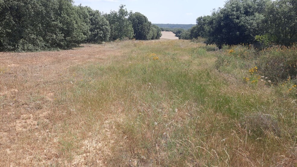 del, S/N, Villares de Órbigo, León en venta - Foto del edificio - Imagen 3 de 15